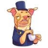 Tuna the Dog 29
