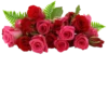 Flowers >> 30