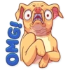Tuna the Dog 30