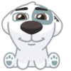 vk dog 5