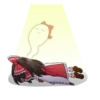 Touhou Project Character Stickers 5