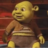 •Shrek Mood• 10