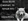 Сильный не тот, кто сильный 9
