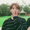 Stray kids 14