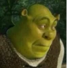 •Shrek Mood• 11