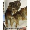 Сильный не тот, кто сильный 10