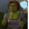 •Shrek Mood• 13
