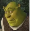 •Shrek Mood• 14