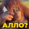 Общение - 7