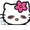 suicidal kitty 9