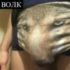 Сильный не тот, кто сильный 12
