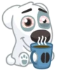 vk dog 11