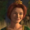 •Shrek Mood• 17