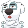 vk dog 12