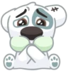 vk dog 13
