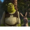 •Shrek Mood• 18