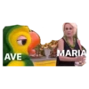 The Zueira Never End! 18