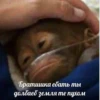 Общение - 12