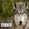 Сильный не тот, кто сильный 17