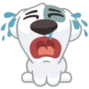 vk dog 20