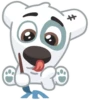 vk dog 21
