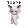 ПОХУЙ
