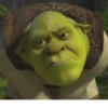•Shrek Mood• 27