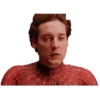 Tobey Maguire 27