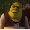 •Shrek Mood• 28