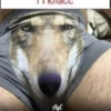 Сильный не тот, кто сильный 27