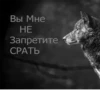 Сильный не тот, кто сильный 29