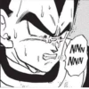 dragon ball 30