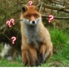 ?? ? ?
