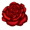 Flowers 5