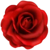 Flowers 7