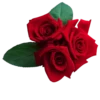 Flowers 10
