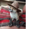 howdy