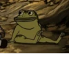 Jason Funderburker - The frog 9