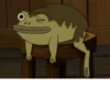Jason Funderburker - The frog 13