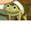 Jason Funderburker - The frog 15