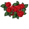Flowers 11