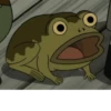 Jason Funderburker - The frog 19