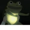 Jason Funderburker - The frog 20