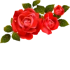 Flowers 14