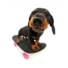 Friendly dogs 24