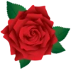 Flowers 18