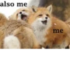 also me me