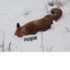 nope