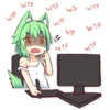 Green Tea Neko 24