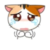Gogil Meow :: @TgSticker 25